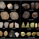 Some Oldowan tools found at the site, including cores and flakes.